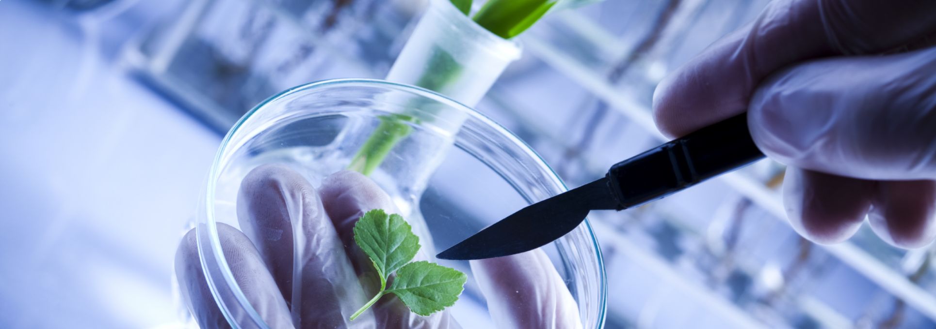 Banner biotecnología